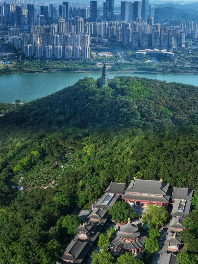 南宁游玩景点推荐,南宁游玩景点大全?-第1张图片-诗丽旅游网 南宁游玩景点推荐,南宁游玩景点大全?-第1张图片-诗丽旅游网