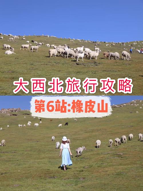 海北旅游攻略一日游路线,海北旅游景点大全排名-第1张图片-诗丽旅游网 海北旅游攻略一日游路线,海北旅游景点大全排名-第1张图片-诗丽旅游网