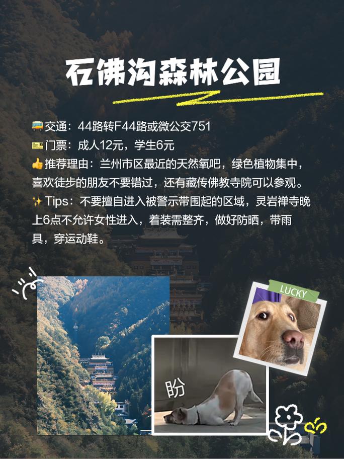 兰州旅游全攻略?兰州旅游必去景点?-第6张图片-诗丽旅游网 兰州旅游全攻略?兰州旅游必去景点?-第6张图片-诗丽旅游网