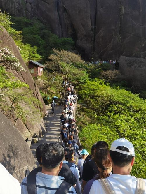 黄山五日游攻略及费用,黄山旅游五日游费用-第3张图片-诗丽旅游网 黄山五日游攻略及费用,黄山旅游五日游费用-第3张图片-诗丽旅游网