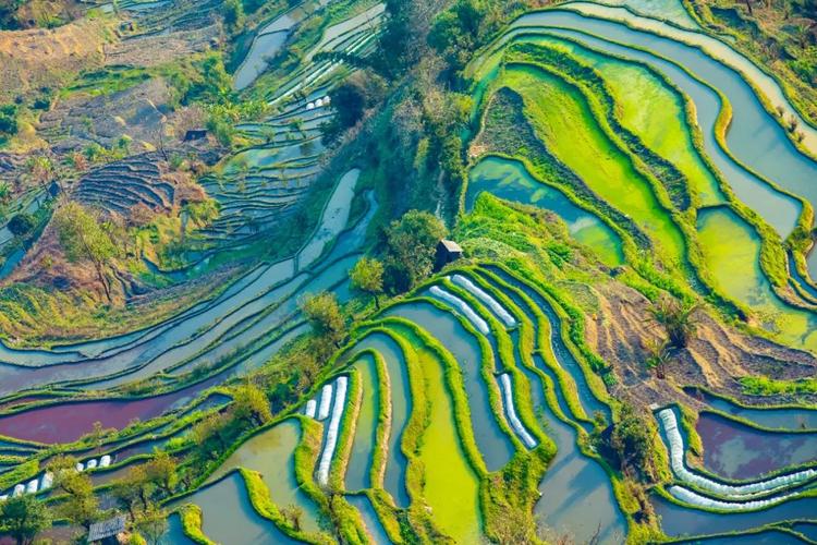 红河州旅游景点大全一日游攻略,红河州前十旅游景点大全?-第6张图片-诗丽旅游网 红河州旅游景点大全一日游攻略,红河州前十旅游景点大全?-第6张图片-诗丽旅游网