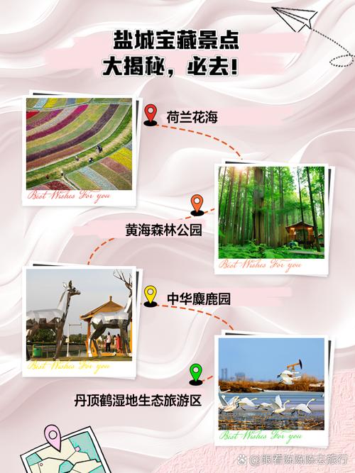 江苏盐城旅游景点攻略,江苏盐城旅游景点攻略一日游-第1张图片-诗丽旅游网 江苏盐城旅游景点攻略,江苏盐城旅游景点攻略一日游-第1张图片-诗丽旅游网