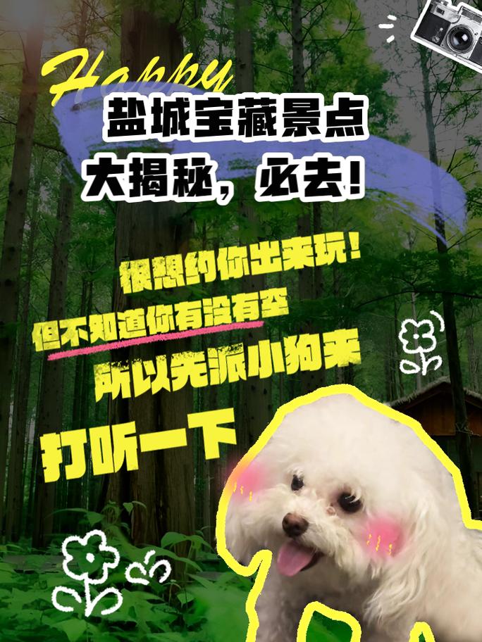 江苏盐城旅游景点攻略,江苏盐城旅游景点攻略一日游-第5张图片-诗丽旅游网 江苏盐城旅游景点攻略,江苏盐城旅游景点攻略一日游-第5张图片-诗丽旅游网