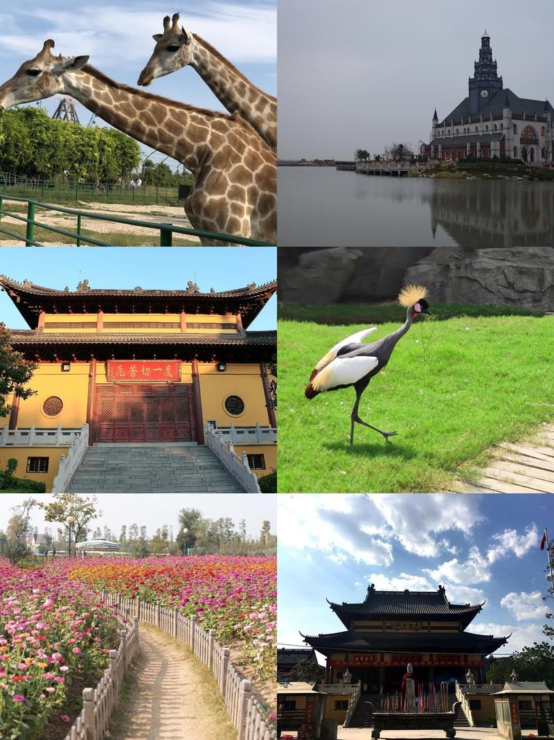 江苏盐城旅游景点攻略,江苏盐城旅游景点攻略一日游-第6张图片-诗丽旅游网 江苏盐城旅游景点攻略,江苏盐城旅游景点攻略一日游-第6张图片-诗丽旅游网