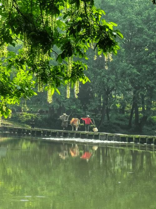 丽水当地二日游最佳路线,丽水二日游最佳路线图?-第2张图片-诗丽旅游网 丽水当地二日游最佳路线,丽水二日游最佳路线图?-第2张图片-诗丽旅游网