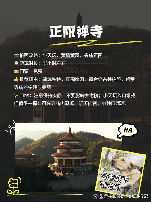 宁波旅游攻略自由行最佳线路三日游,宁波旅游攻略3日游-第6张图片-诗丽旅游网 宁波旅游攻略自由行最佳线路三日游,宁波旅游攻略3日游-第6张图片-诗丽旅游网