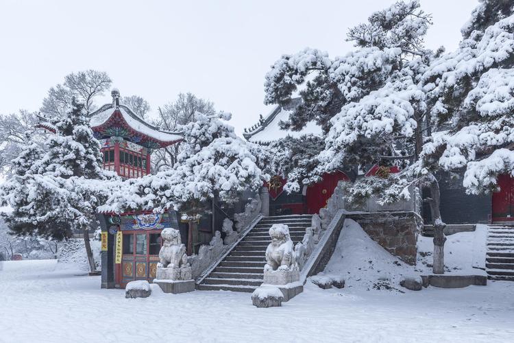 山东冬天好玩的旅游景点排名前十,山东冬天哪里好玩的旅游景点?-第4张图片-诗丽旅游网 山东冬天好玩的旅游景点排名前十,山东冬天哪里好玩的旅游景点?-第4张图片-诗丽旅游网