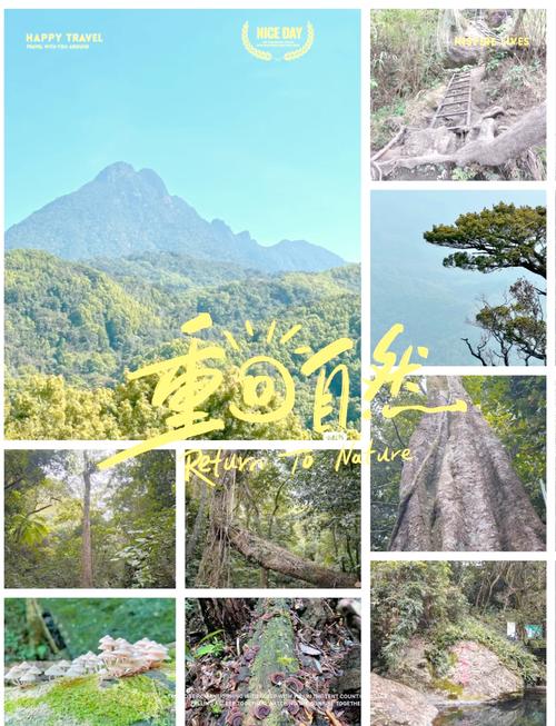 五指山的旅游攻略,五指山旅游攻略一日游-第4张图片-诗丽旅游网 五指山的旅游攻略,五指山旅游攻略一日游-第4张图片-诗丽旅游网