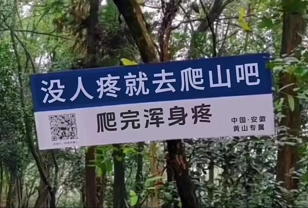 黄山旅游景点推荐路线,黄山旅游景点推荐路线图?-第1张图片-诗丽旅游网 黄山旅游景点推荐路线,黄山旅游景点推荐路线图?-第1张图片-诗丽旅游网