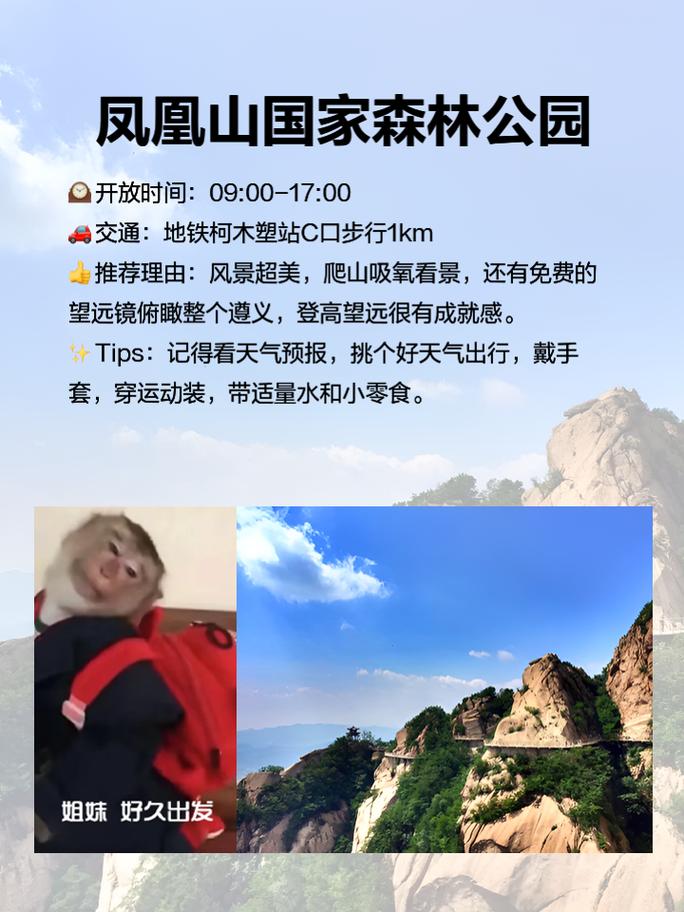 遵义旅游景点一日游线路推荐,遵义一日游最佳线路?-第1张图片-诗丽旅游网 遵义旅游景点一日游线路推荐,遵义一日游最佳线路?-第1张图片-诗丽旅游网