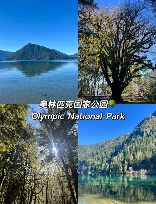 美国旅游线路,美国旅游线路图-第2张图片-诗丽旅游网 美国旅游线路,美国旅游线路图-第2张图片-诗丽旅游网
