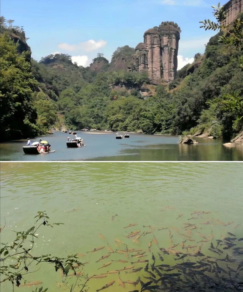 武夷山景区特色景点,武夷山景区特色景点图片?-第5张图片-诗丽旅游网 武夷山景区特色景点,武夷山景区特色景点图片?-第5张图片-诗丽旅游网