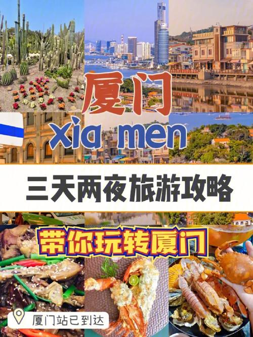 鼓浪屿旅游景点推荐攻略大全,鼓浪屿旅游景点推荐攻略大全视频?-第5张图片-诗丽旅游网 鼓浪屿旅游景点推荐攻略大全,鼓浪屿旅游景点推荐攻略大全视频?-第5张图片-诗丽旅游网