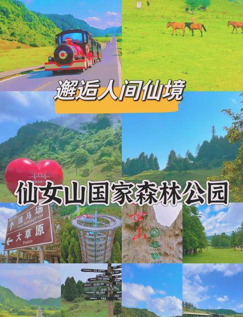 仙女山旅游攻略春季,仙女山旅游攻略夏季-第1张图片-诗丽旅游网 仙女山旅游攻略春季,仙女山旅游攻略夏季-第1张图片-诗丽旅游网