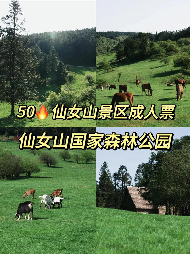 仙女山旅游攻略春季,仙女山旅游攻略夏季-第2张图片-诗丽旅游网 仙女山旅游攻略春季,仙女山旅游攻略夏季-第2张图片-诗丽旅游网