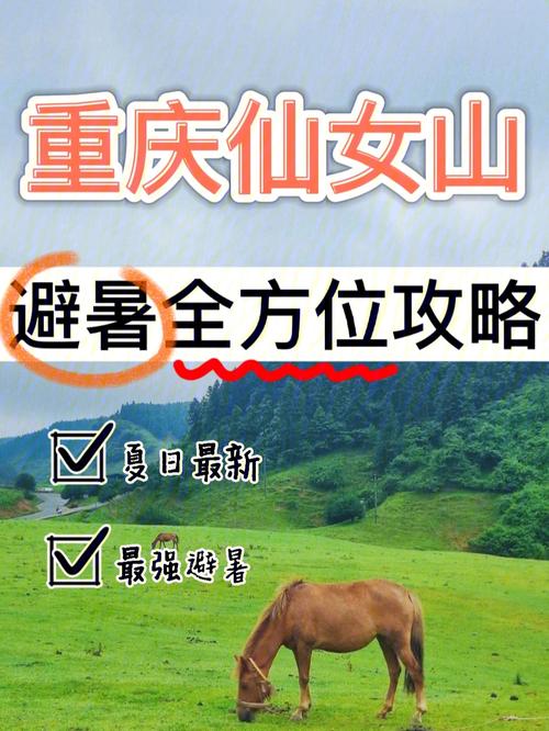 仙女山旅游攻略春季,仙女山旅游攻略夏季-第3张图片-诗丽旅游网 仙女山旅游攻略春季,仙女山旅游攻略夏季-第3张图片-诗丽旅游网