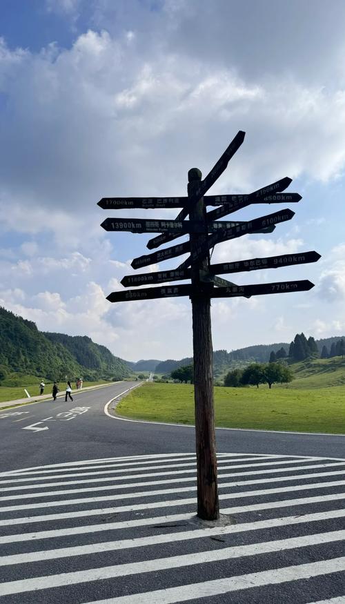 仙女山旅游攻略春季,仙女山旅游攻略夏季-第6张图片-诗丽旅游网 仙女山旅游攻略春季,仙女山旅游攻略夏季-第6张图片-诗丽旅游网