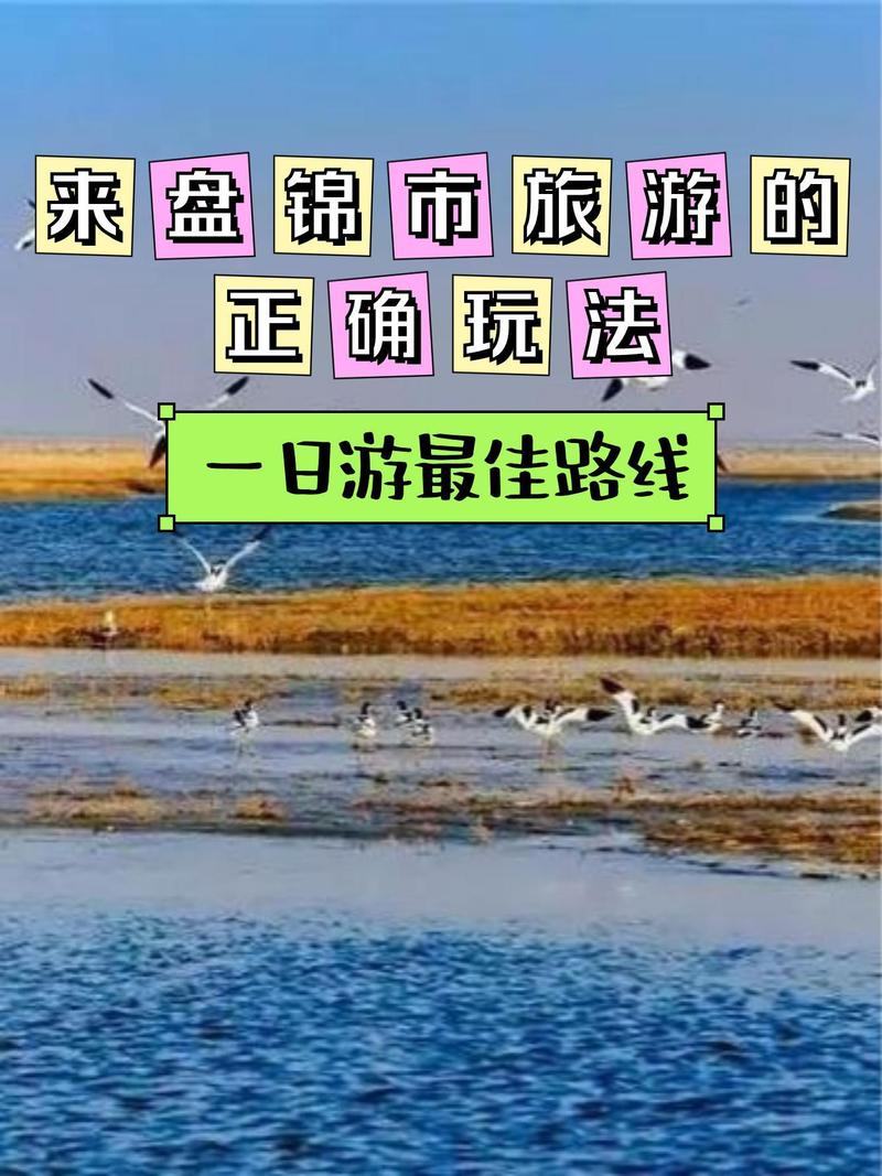 盘锦旅游攻略一日游景点推荐?盘锦旅游攻略一日游景点推荐一下?-第2张图片-诗丽旅游网 盘锦旅游攻略一日游景点推荐?盘锦旅游攻略一日游景点推荐一下?-第2张图片-诗丽旅游网