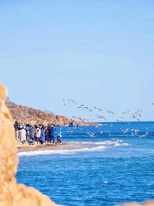 大连的旅游景点排名榜前十名有哪些地方?大连旅游著名景点?-第1张图片-诗丽旅游网 大连的旅游景点排名榜前十名有哪些地方?大连旅游著名景点?-第1张图片-诗丽旅游网