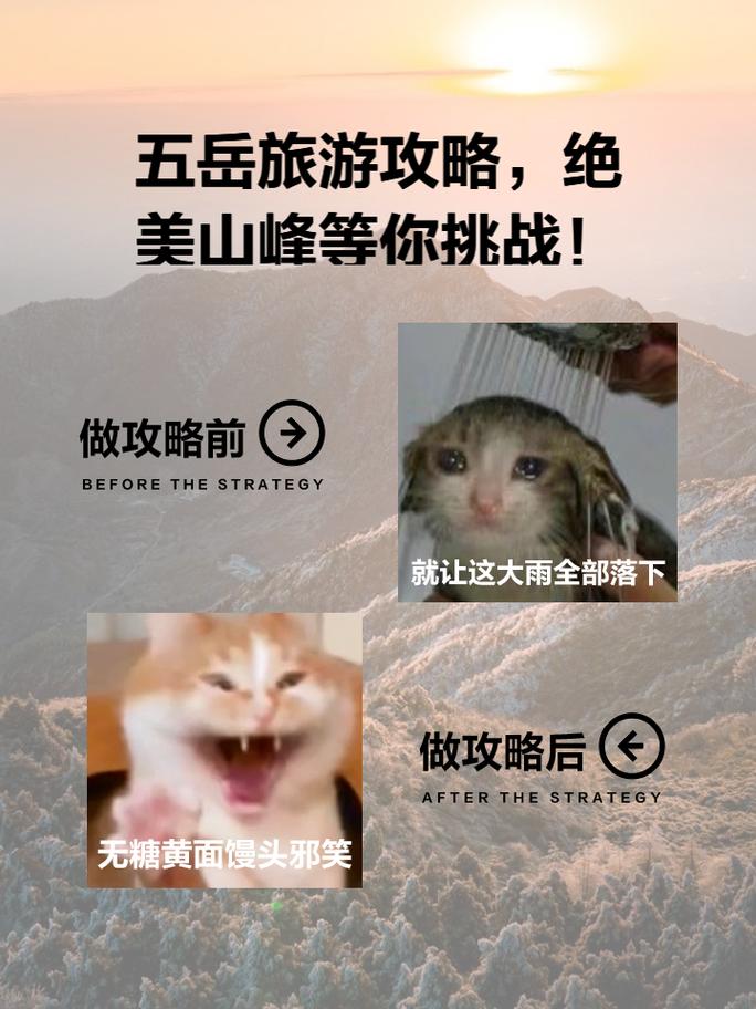 南极旅游线路?南极旅游线路攻略?-第5张图片-诗丽旅游网 南极旅游线路?南极旅游线路攻略?-第5张图片-诗丽旅游网