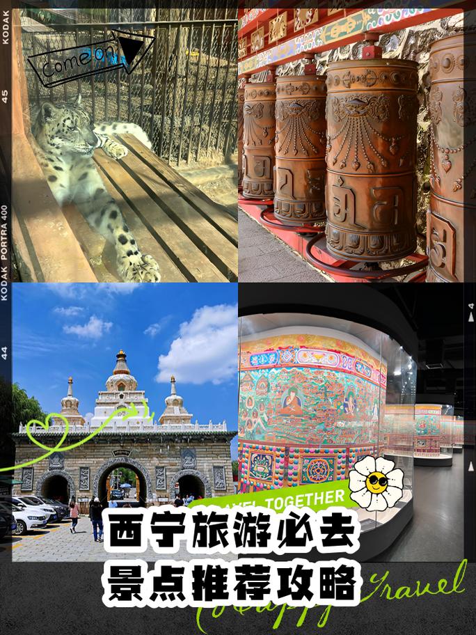 青海西宁旅游攻略必玩的景点有哪些?青海西宁旅游攻略必玩的景点有哪些呢?-第4张图片-诗丽旅游网 青海西宁旅游攻略必玩的景点有哪些?青海西宁旅游攻略必玩的景点有哪些呢?-第4张图片-诗丽旅游网