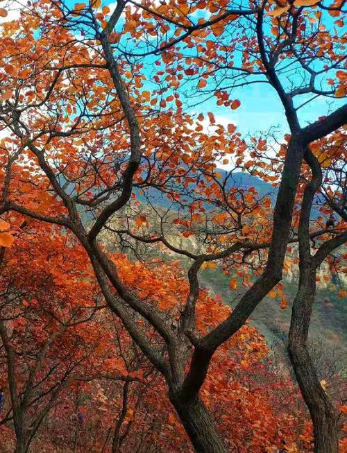 北京郊区旅游景点排名榜,北京郊区旅游景点排名榜?-第3张图片-诗丽旅游网 北京郊区旅游景点排名榜,北京郊区旅游景点排名榜?-第3张图片-诗丽旅游网