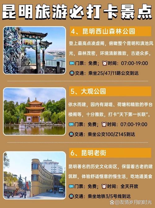 昆明旅游攻略一日游路线推荐?昆明1日游旅游攻略?-第5张图片-诗丽旅游网 昆明旅游攻略一日游路线推荐?昆明1日游旅游攻略?-第5张图片-诗丽旅游网