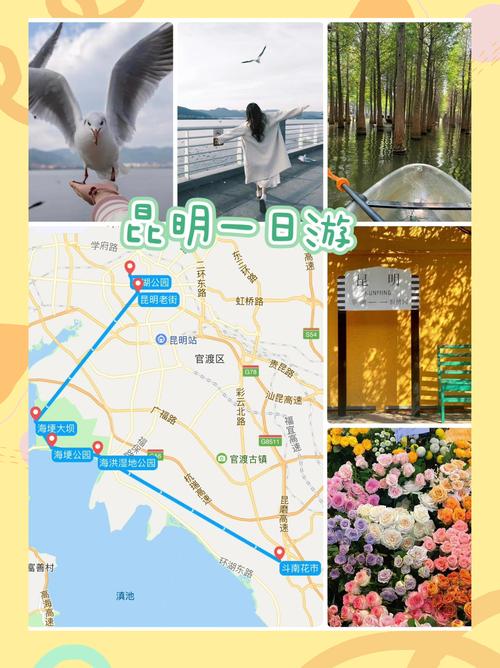 昆明旅游攻略一日游路线推荐?昆明1日游旅游攻略?-第6张图片-诗丽旅游网 昆明旅游攻略一日游路线推荐?昆明1日游旅游攻略?-第6张图片-诗丽旅游网