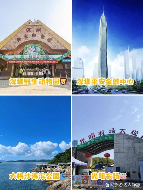 深圳旅游景点免费开放有那些?深圳市免费旅游景点?-第1张图片-诗丽旅游网 深圳旅游景点免费开放有那些?深圳市免费旅游景点?-第1张图片-诗丽旅游网