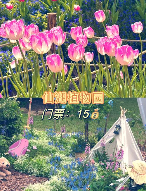 深圳旅游景点免费开放有那些?深圳市免费旅游景点?-第4张图片-诗丽旅游网 深圳旅游景点免费开放有那些?深圳市免费旅游景点?-第4张图片-诗丽旅游网