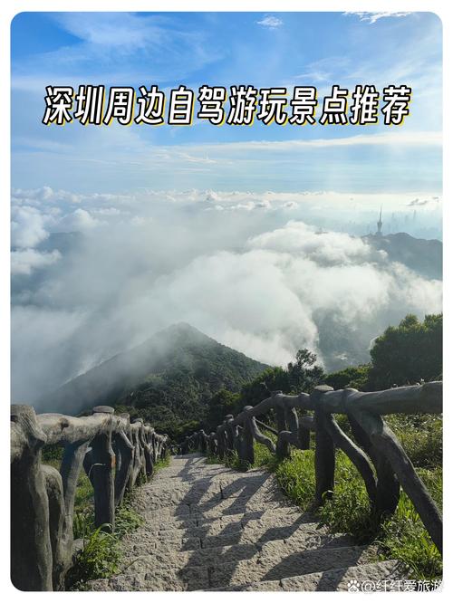 深圳旅游景点免费开放有那些?深圳市免费旅游景点?-第5张图片-诗丽旅游网 深圳旅游景点免费开放有那些?深圳市免费旅游景点?-第5张图片-诗丽旅游网