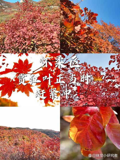 怀柔旅游景点大全免费路线?怀柔旅游景点大全怀柔著名景点?-第6张图片-诗丽旅游网 怀柔旅游景点大全免费路线?怀柔旅游景点大全怀柔著名景点?-第6张图片-诗丽旅游网