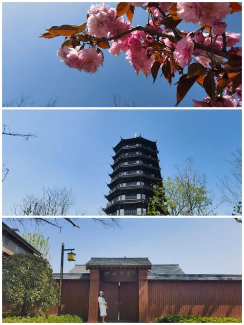 宿迁前十旅游景点介绍,宿迁前十旅游景点介绍大全-第6张图片-诗丽旅游网 宿迁前十旅游景点介绍,宿迁前十旅游景点介绍大全-第6张图片-诗丽旅游网