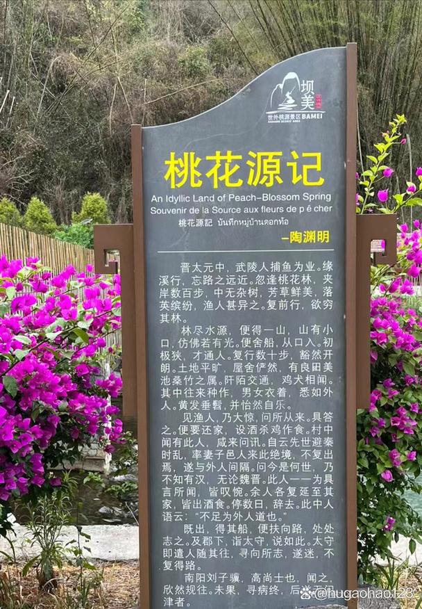 文山旅游攻略景点大全一日游路线,文山旅游攻略景点大全一日游路线图片?-第6张图片-诗丽旅游网 文山旅游攻略景点大全一日游路线,文山旅游攻略景点大全一日游路线图片?-第6张图片-诗丽旅游网