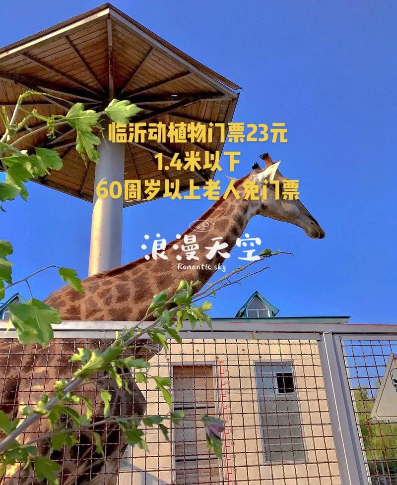 临沂景点门票费用表,临沂旅游景点门票-第2张图片-诗丽旅游网 临沂景点门票费用表,临沂旅游景点门票-第2张图片-诗丽旅游网