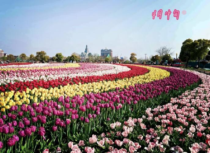顺义旅游景点自驾游路线,顺义旅游攻略必去景点-第2张图片-诗丽旅游网 顺义旅游景点自驾游路线,顺义旅游攻略必去景点-第2张图片-诗丽旅游网