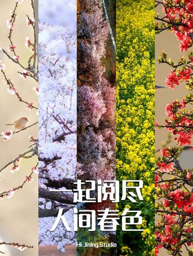 济宁旅游景点大全自驾车旅游,济宁旅游景点大全景点排名-第5张图片-诗丽旅游网 济宁旅游景点大全自驾车旅游,济宁旅游景点大全景点排名-第5张图片-诗丽旅游网