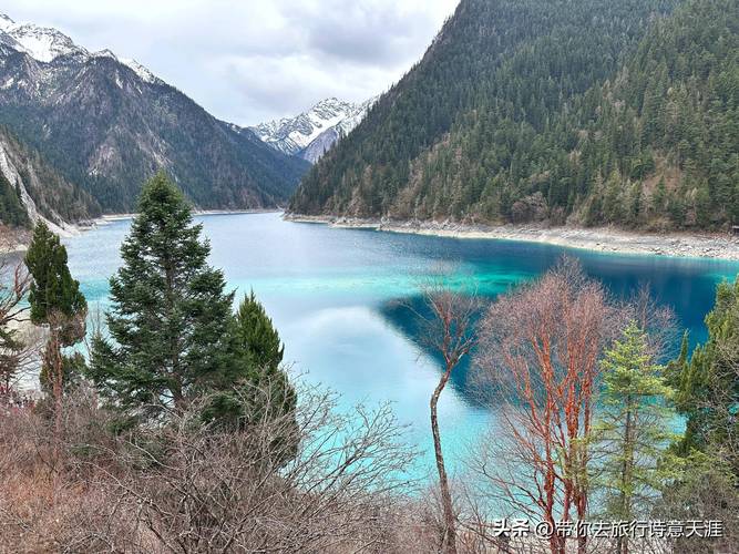 四川九寨沟的景点,四川九寨沟景点视频-第1张图片-诗丽旅游网 四川九寨沟的景点,四川九寨沟景点视频-第1张图片-诗丽旅游网