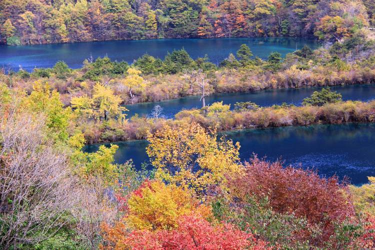 四川九寨沟的景点,四川九寨沟景点视频-第3张图片-诗丽旅游网 四川九寨沟的景点,四川九寨沟景点视频-第3张图片-诗丽旅游网