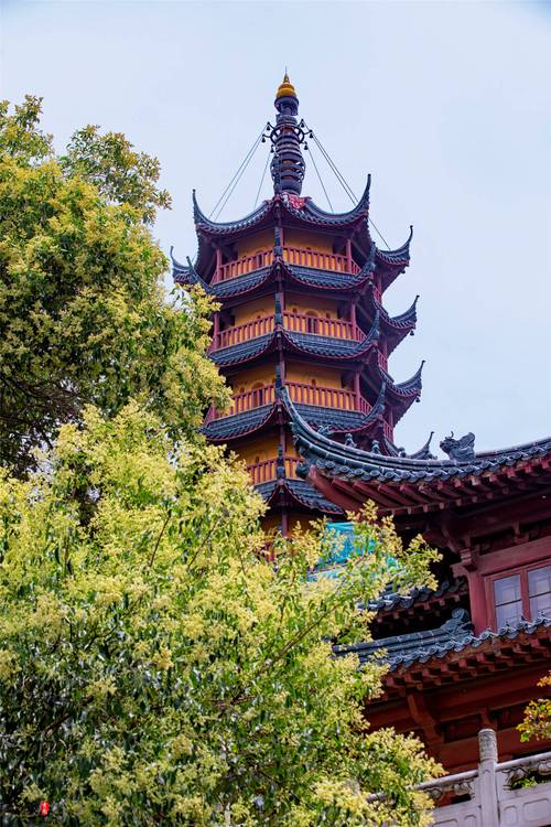 上海金山的旅游景点,上海金山的旅游景点大全?-第1张图片-诗丽旅游网 上海金山的旅游景点,上海金山的旅游景点大全?-第1张图片-诗丽旅游网