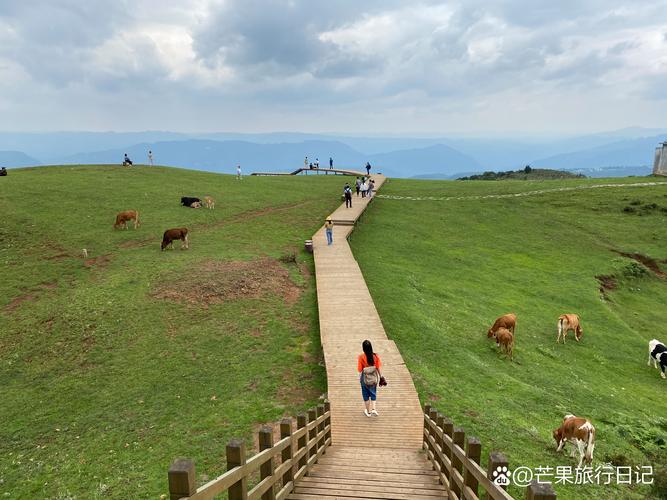 六盘水旅游景点大全免费路线推荐,六盘水旅游景点大全免费路线推荐图片?-第1张图片-诗丽旅游网 六盘水旅游景点大全免费路线推荐,六盘水旅游景点大全免费路线推荐图片?-第1张图片-诗丽旅游网