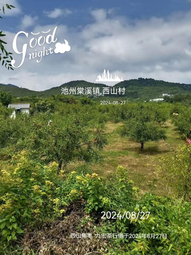 池州旅游景点推荐理由,池州旅游景点推荐理由作文?-第5张图片-诗丽旅游网 池州旅游景点推荐理由,池州旅游景点推荐理由作文?-第5张图片-诗丽旅游网