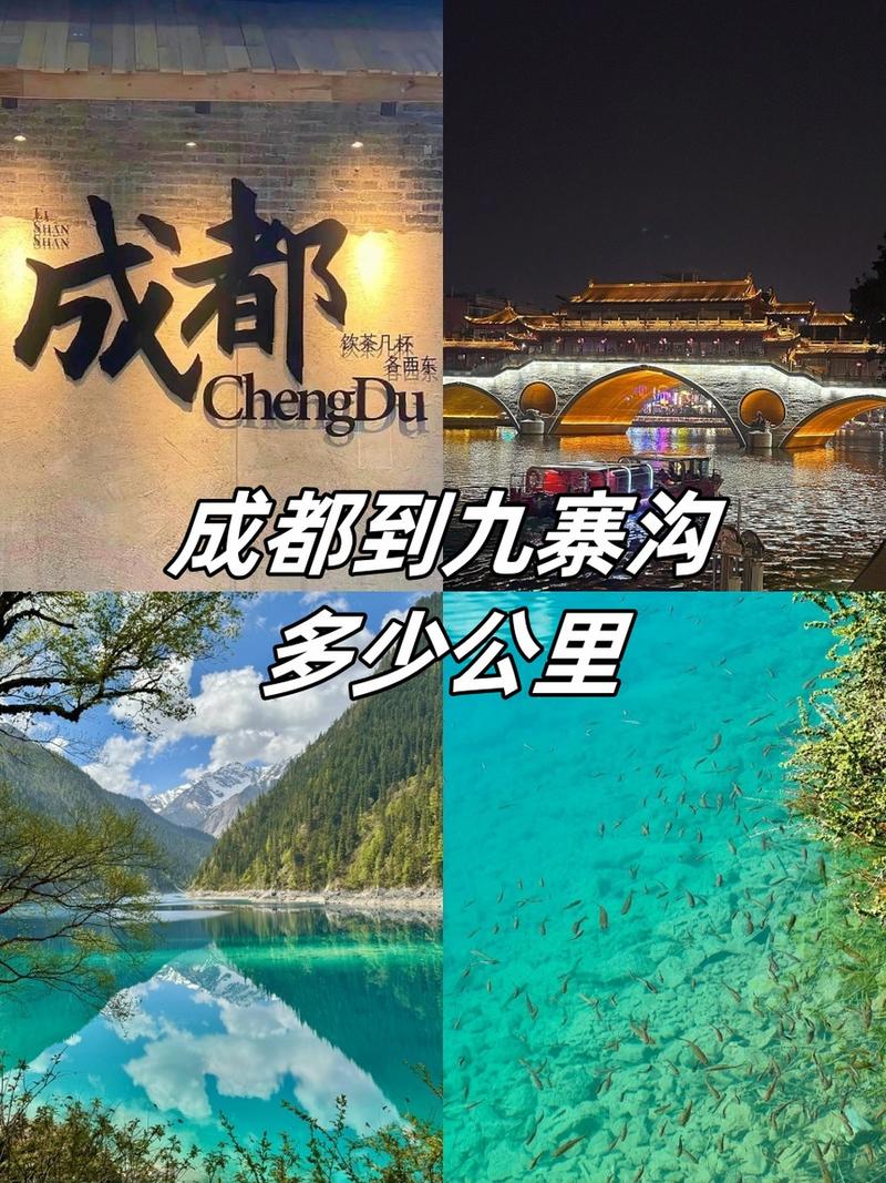 成都到九寨沟四日游攻略?成都到九寨沟4日游攻略?-第3张图片-诗丽旅游网 成都到九寨沟四日游攻略?成都到九寨沟4日游攻略?-第3张图片-诗丽旅游网
