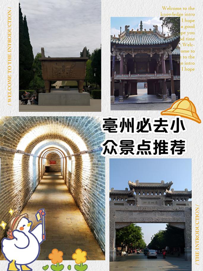 亳州旅游攻略?亳州旅游攻略两日游?-第2张图片-诗丽旅游网 亳州旅游攻略?亳州旅游攻略两日游?-第2张图片-诗丽旅游网
