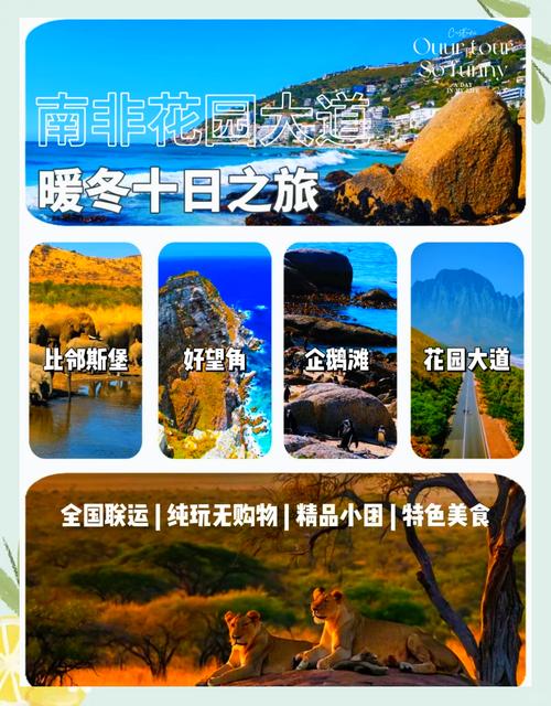 南非旅游景点攻略大全,南非游玩前十景点?-第6张图片-诗丽旅游网 南非旅游景点攻略大全,南非游玩前十景点?-第6张图片-诗丽旅游网