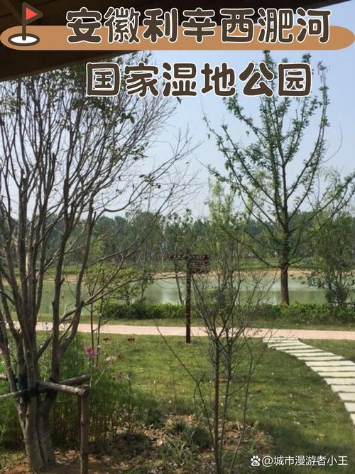 亳州旅游路线一日游推荐,亳州旅游景点大全排名一日游?-第3张图片-诗丽旅游网 亳州旅游路线一日游推荐,亳州旅游景点大全排名一日游?-第3张图片-诗丽旅游网
