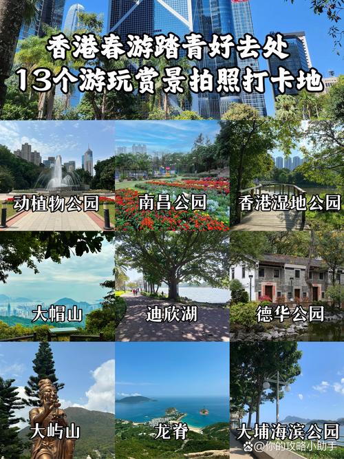 香港旅游线路攻略,香港旅游线路攻略大全-第3张图片-诗丽旅游网 香港旅游线路攻略,香港旅游线路攻略大全-第3张图片-诗丽旅游网