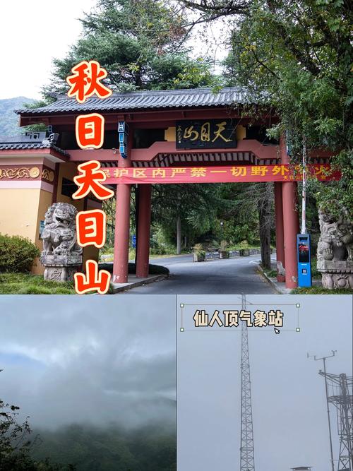 天目山旅游攻略自驾游路线?天目山旅游景点?-第1张图片-诗丽旅游网 天目山旅游攻略自驾游路线?天目山旅游景点?-第1张图片-诗丽旅游网