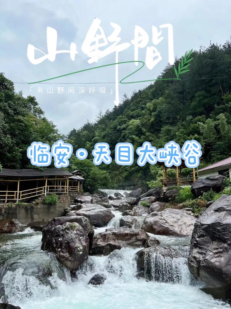 天目山旅游攻略自驾游路线?天目山旅游景点?-第3张图片-诗丽旅游网 天目山旅游攻略自驾游路线?天目山旅游景点?-第3张图片-诗丽旅游网