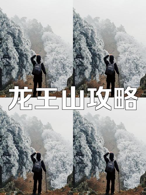 天目山旅游攻略自驾游路线?天目山旅游景点?-第4张图片-诗丽旅游网 天目山旅游攻略自驾游路线?天目山旅游景点?-第4张图片-诗丽旅游网